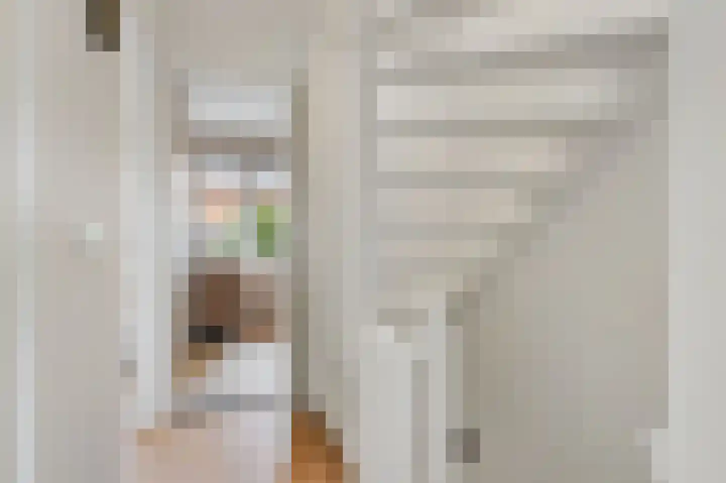 Adriaan de Jongestraat 20 Haarlem thumbnail 23