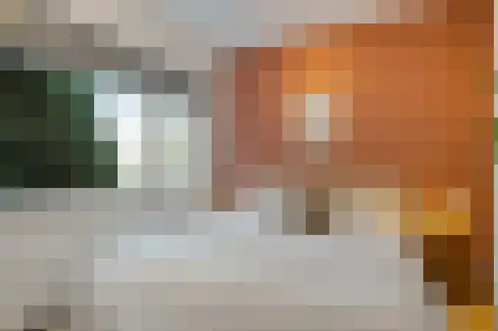 Adriaan de Jongestraat 7 ZW Haarlem thumbnail 25