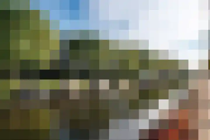 Adriaan de Jongestraat 7 ZW Haarlem thumbnail 33
