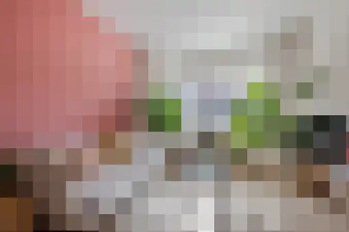 Adriaan de Jongestraat 7 ZW Haarlem thumbnail 9