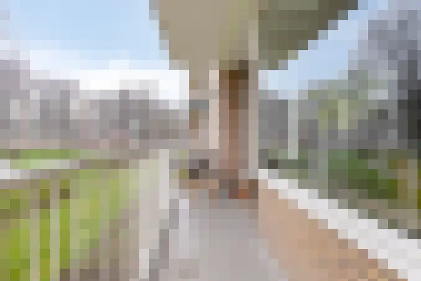 Adriaan Dortsmanstraat 115 Rotterdam thumbnail 21