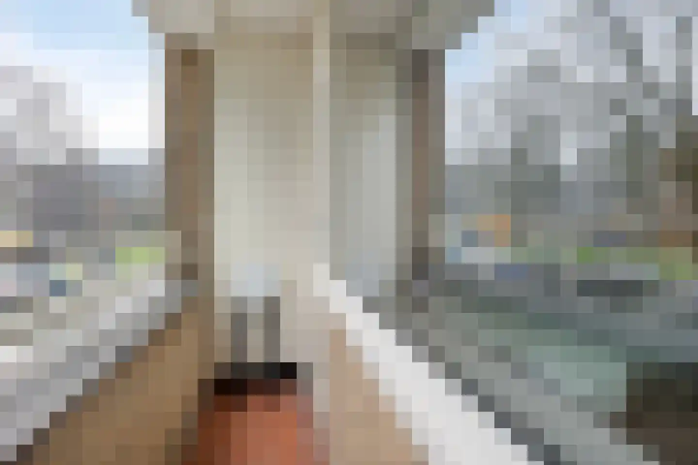 Adriaan Dortsmanstraat 115 Rotterdam thumbnail 25