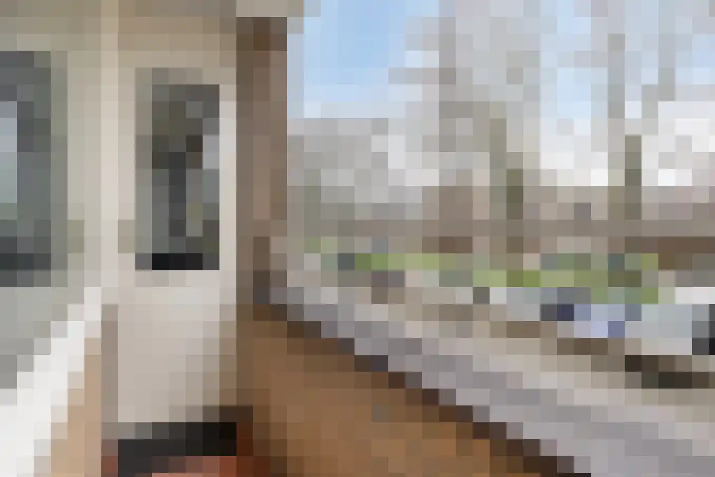 Adriaan Dortsmanstraat 115 Rotterdam thumbnail 26
