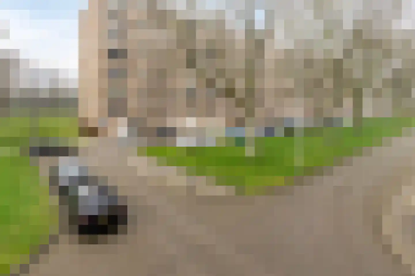 Adriaan Dortsmanstraat 115 Rotterdam thumbnail 5