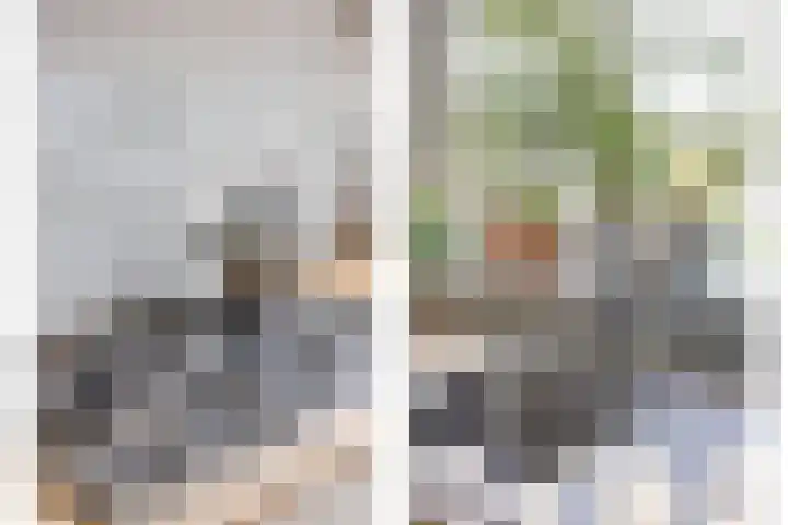 Adriaan Dortsmanstraat 117 Rotterdam thumbnail 10