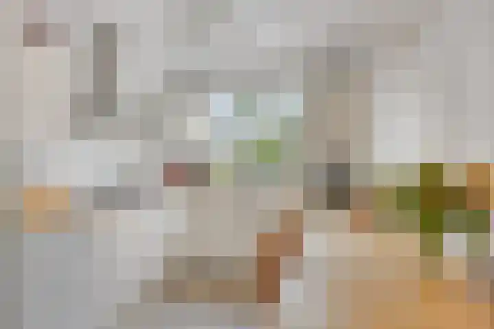 Adriaan Dortsmanstraat 117 Rotterdam thumbnail 4