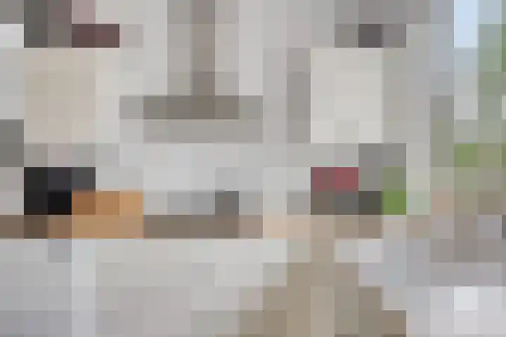 Adriaan Dortsmanstraat 117 Rotterdam thumbnail 5