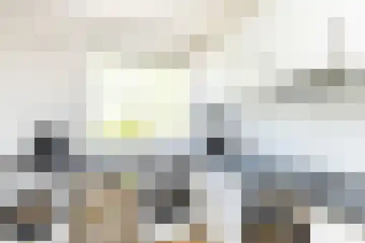 Adriaan Dortsmanstraat 135 Rotterdam thumbnail 22