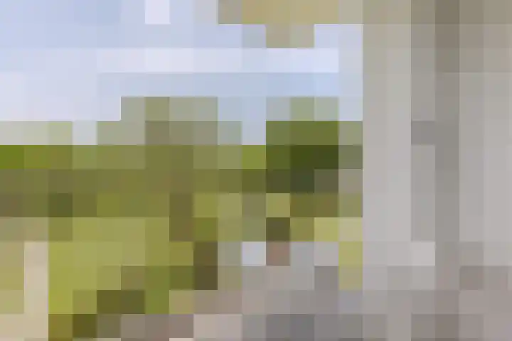 Adriaan Dortsmanstraat 149 Rotterdam thumbnail 12