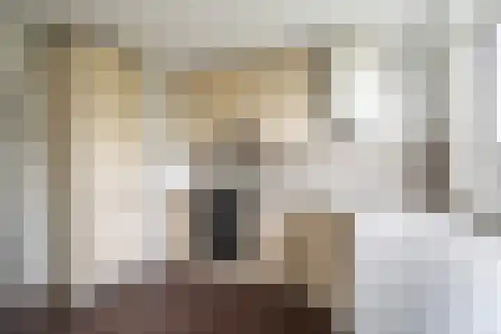 Adriaan Dortsmanstraat 23 Rotterdam thumbnail 4