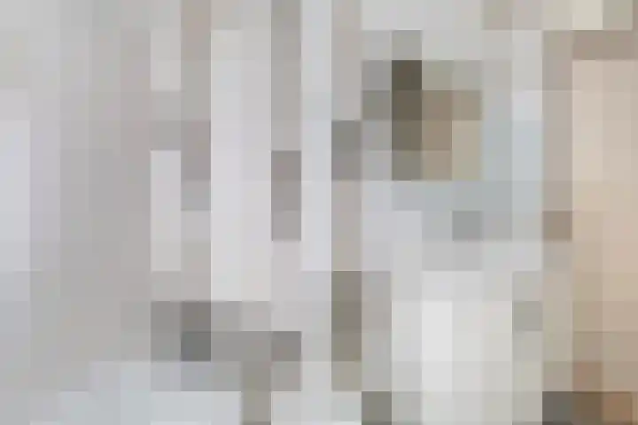 Adriaan Dortsmanstraat 3 Rotterdam thumbnail 8
