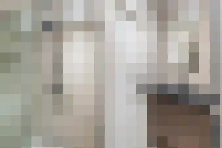 Adriaan Dortsmanstraat 55 Rotterdam thumbnail 11