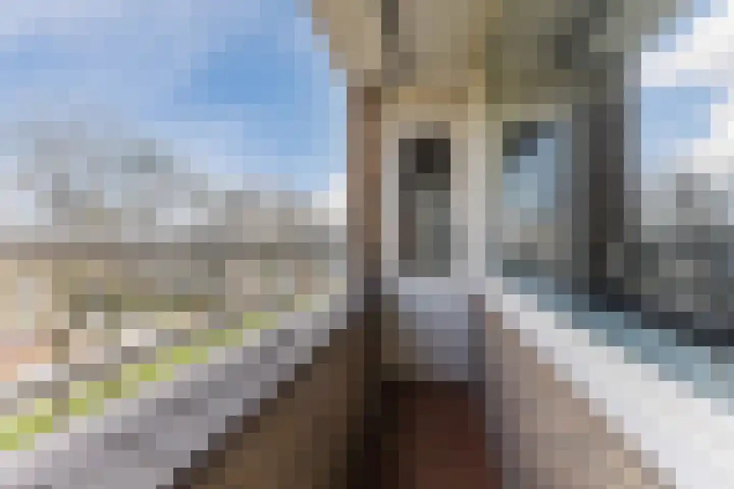 Adriaan Dortsmanstraat 71 Rotterdam thumbnail 32