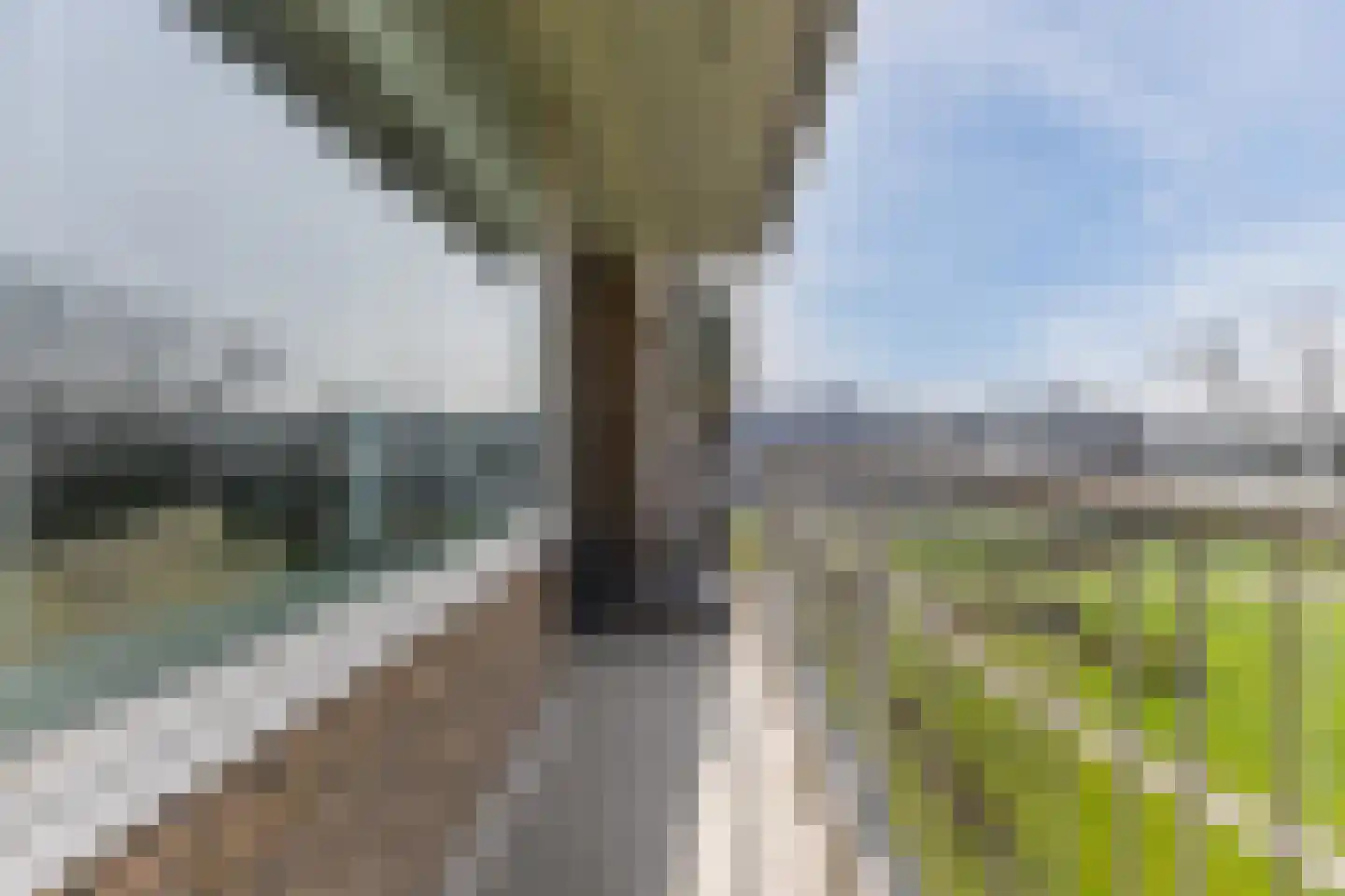 Adriaan Dortsmanstraat 71 Rotterdam thumbnail 35