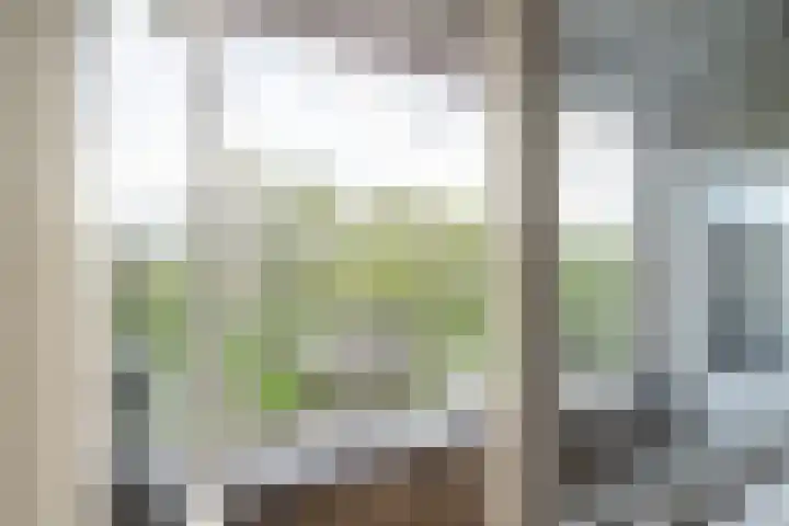 Adriaan Dortsmanstraat 9 Rotterdam thumbnail 18