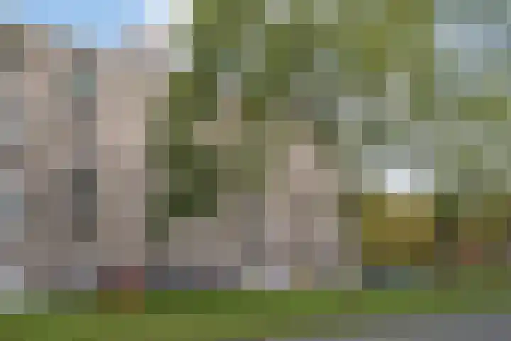Adriaan Dortsmanstraat 9 Rotterdam thumbnail 4