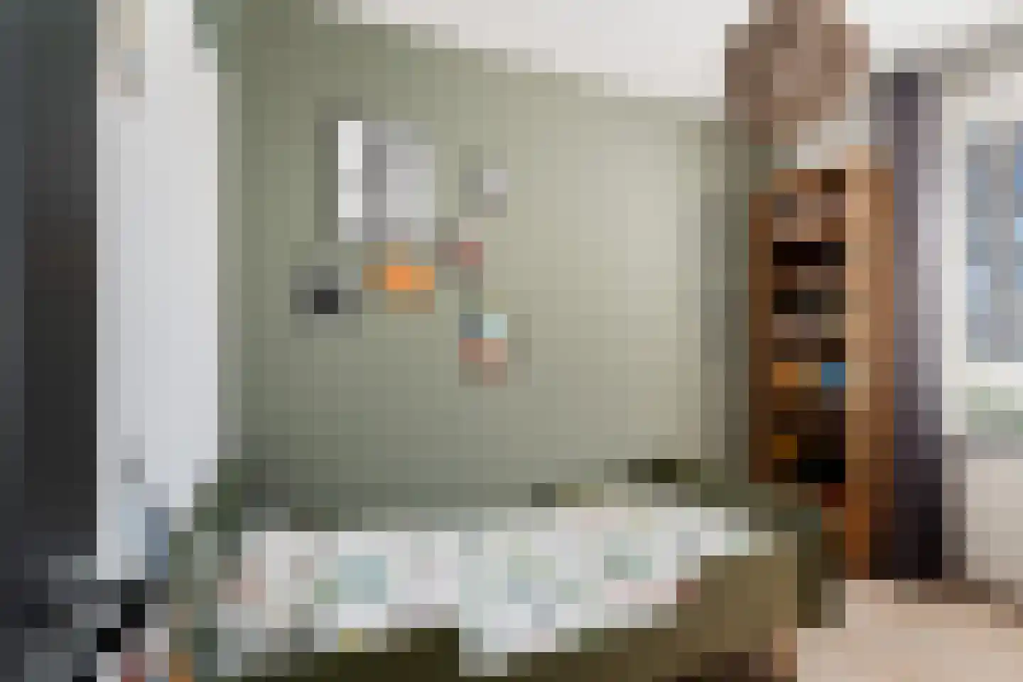Adriaan Duyckpad 15 Woerden thumbnail 20