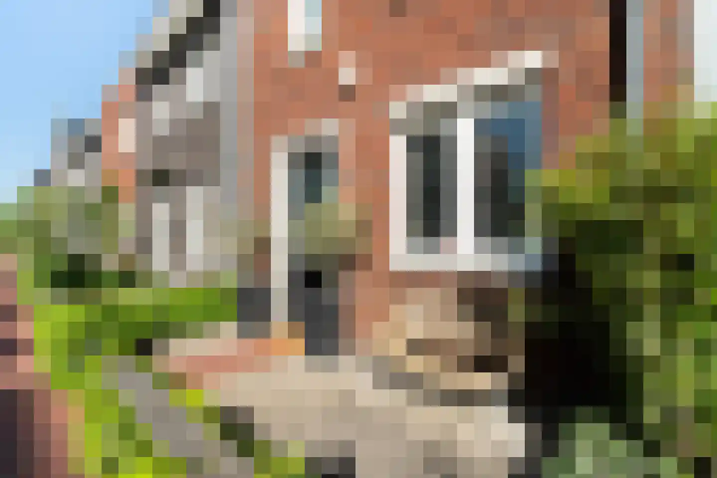 Adriaan Duyckpad 15 Woerden thumbnail 4