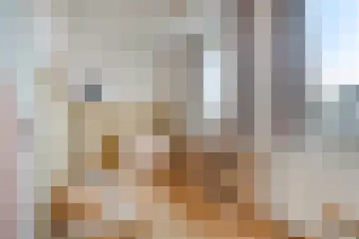 Adriaan Duyckpad 19 Woerden thumbnail 20