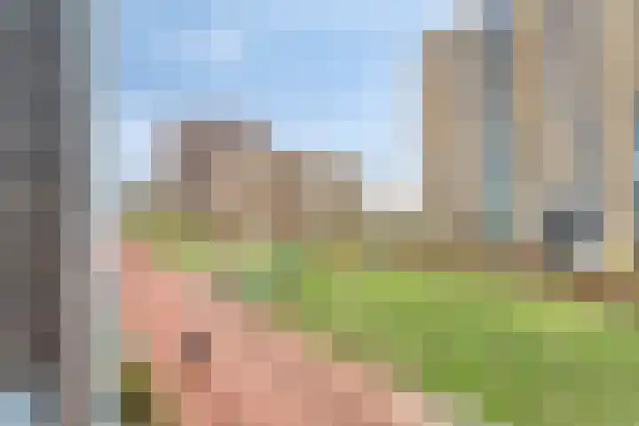 Adriaan Duyckpad 19 Woerden thumbnail 25