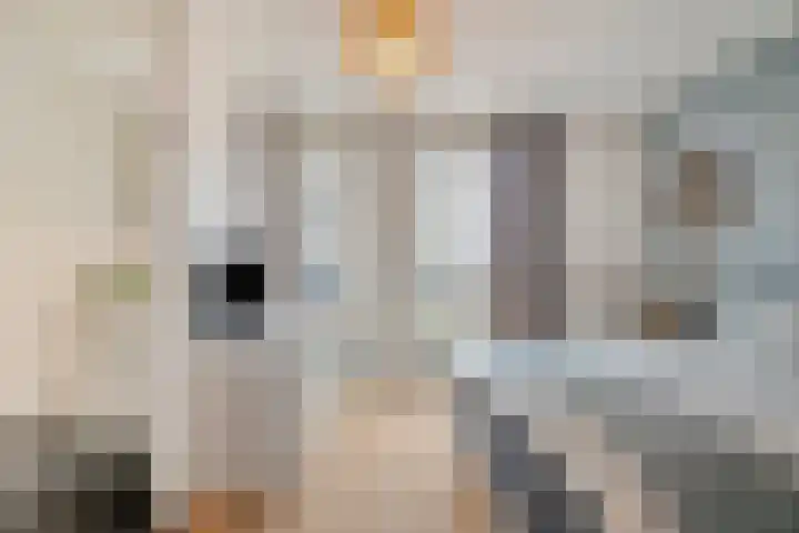 Adriaan Duyckpad 19 Woerden thumbnail 34