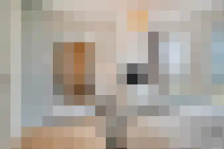 Adriaan Duyckpad 19 Woerden thumbnail 35