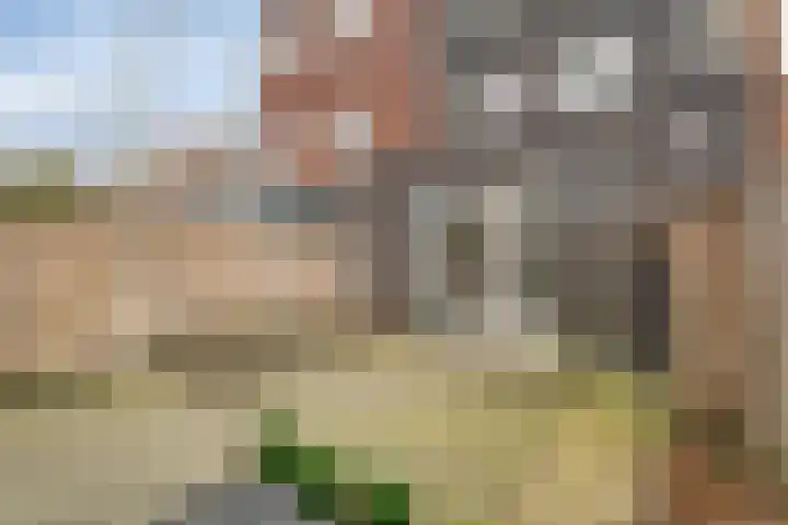 Adriaan Duyckpad 19 Woerden thumbnail 42
