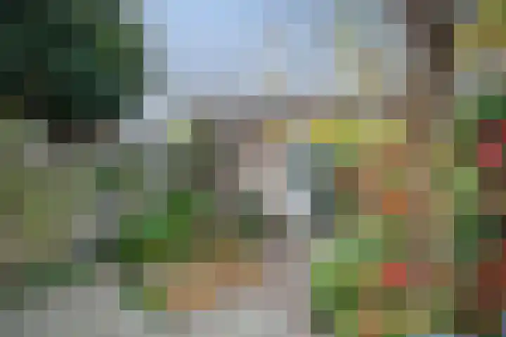 Adriaan Duyckpad 25 Woerden thumbnail 18