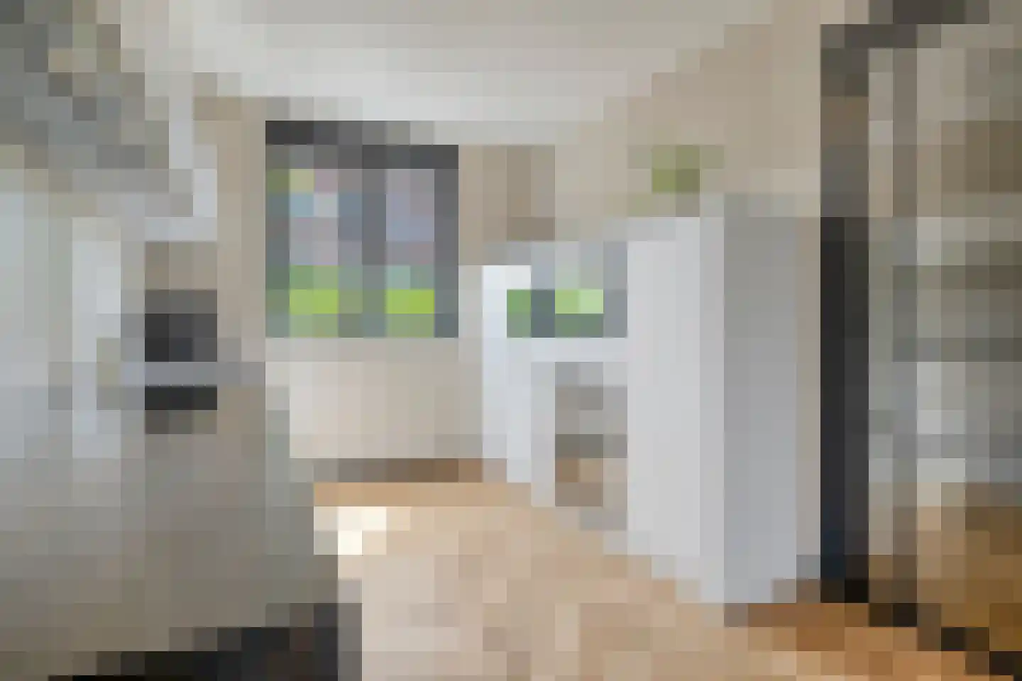 Adriaan Duyckpad 39 Woerden thumbnail 13
