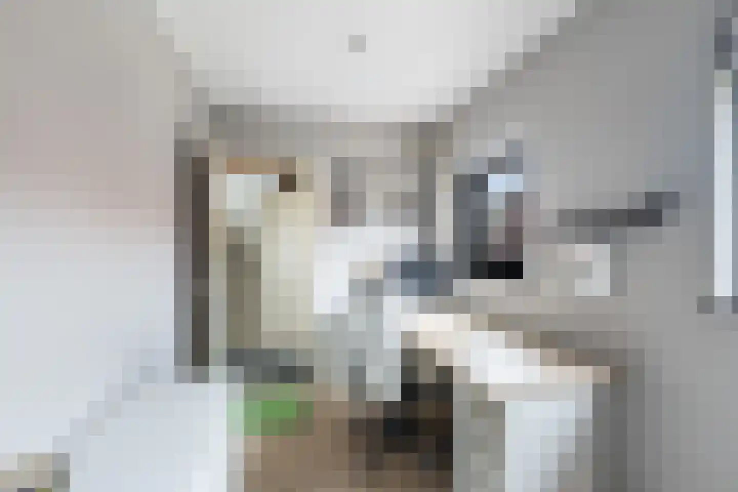 Adriaan G. Smitstraat 48 Alblasserdam thumbnail 15