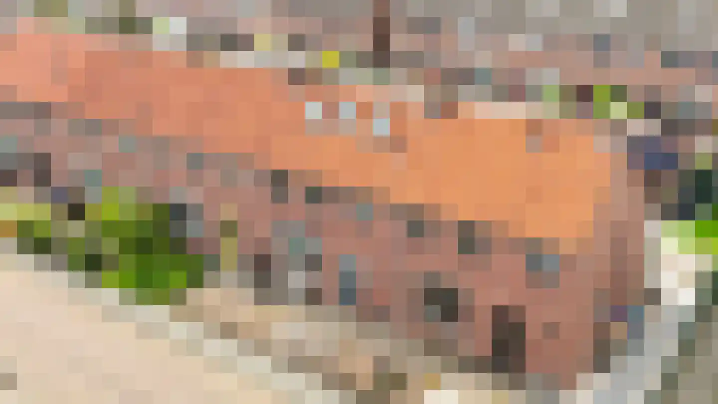 Adriaan G. Smitstraat 48 Alblasserdam thumbnail 36