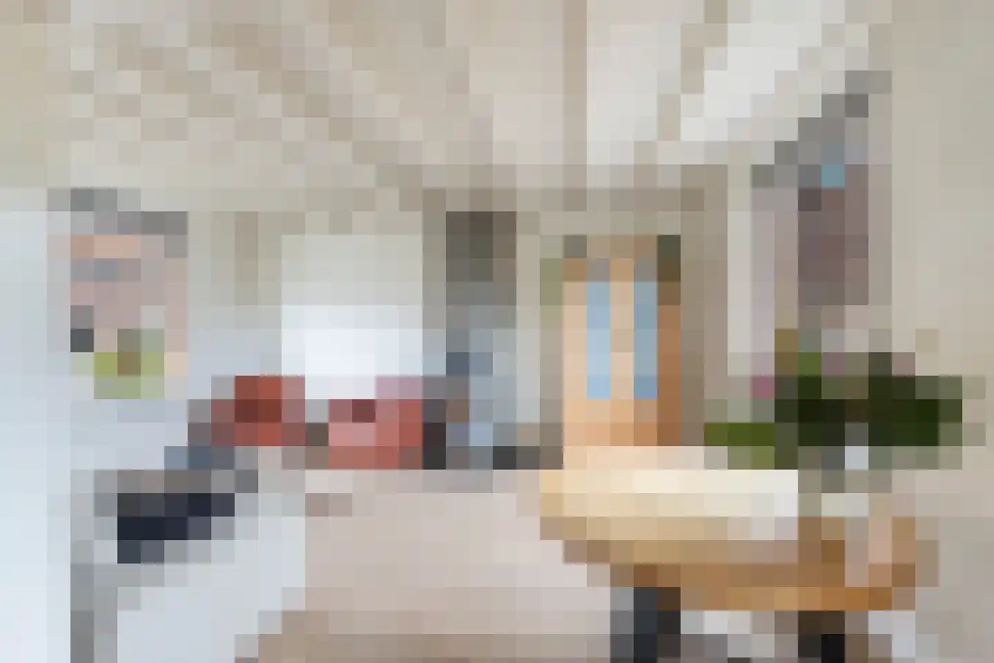 Adriaan G. Smitstraat 48 Alblasserdam thumbnail 6