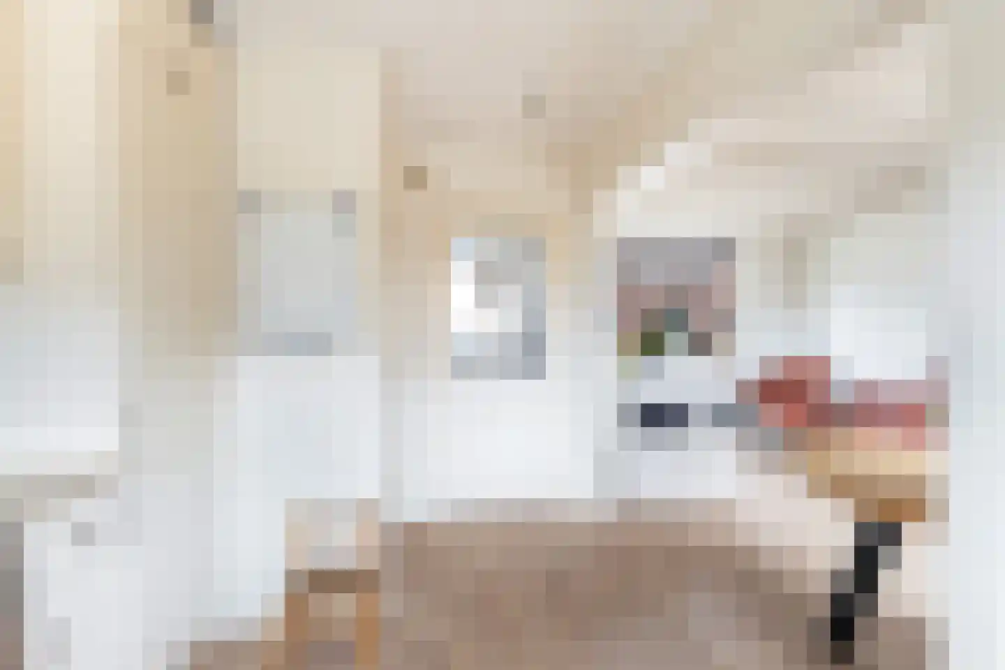 Adriaan G. Smitstraat 48 Alblasserdam thumbnail 8