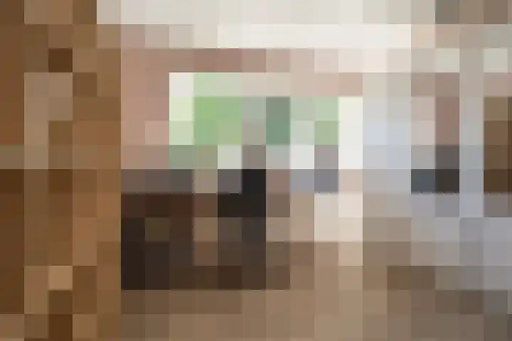 Adriaan Geertsplein 2 A Veendam thumbnail 18