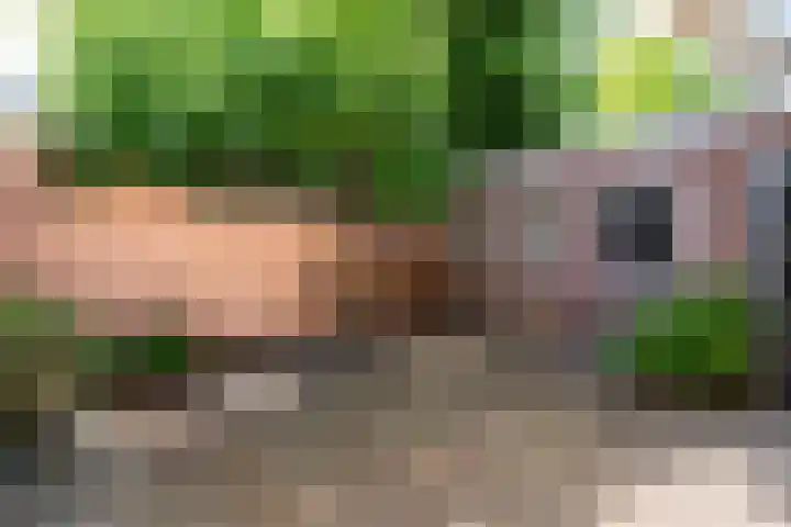 Adriaan Geertsplein 2 A Veendam thumbnail 27