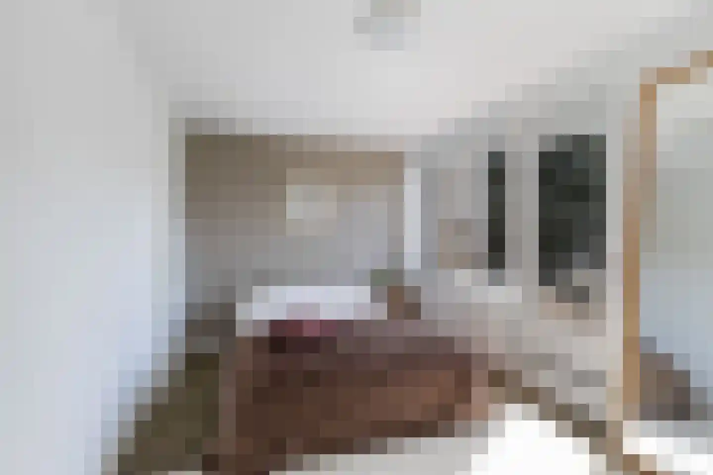 Adriaan Heijnisstraat 1 Nieuw-Lekkerland thumbnail 25