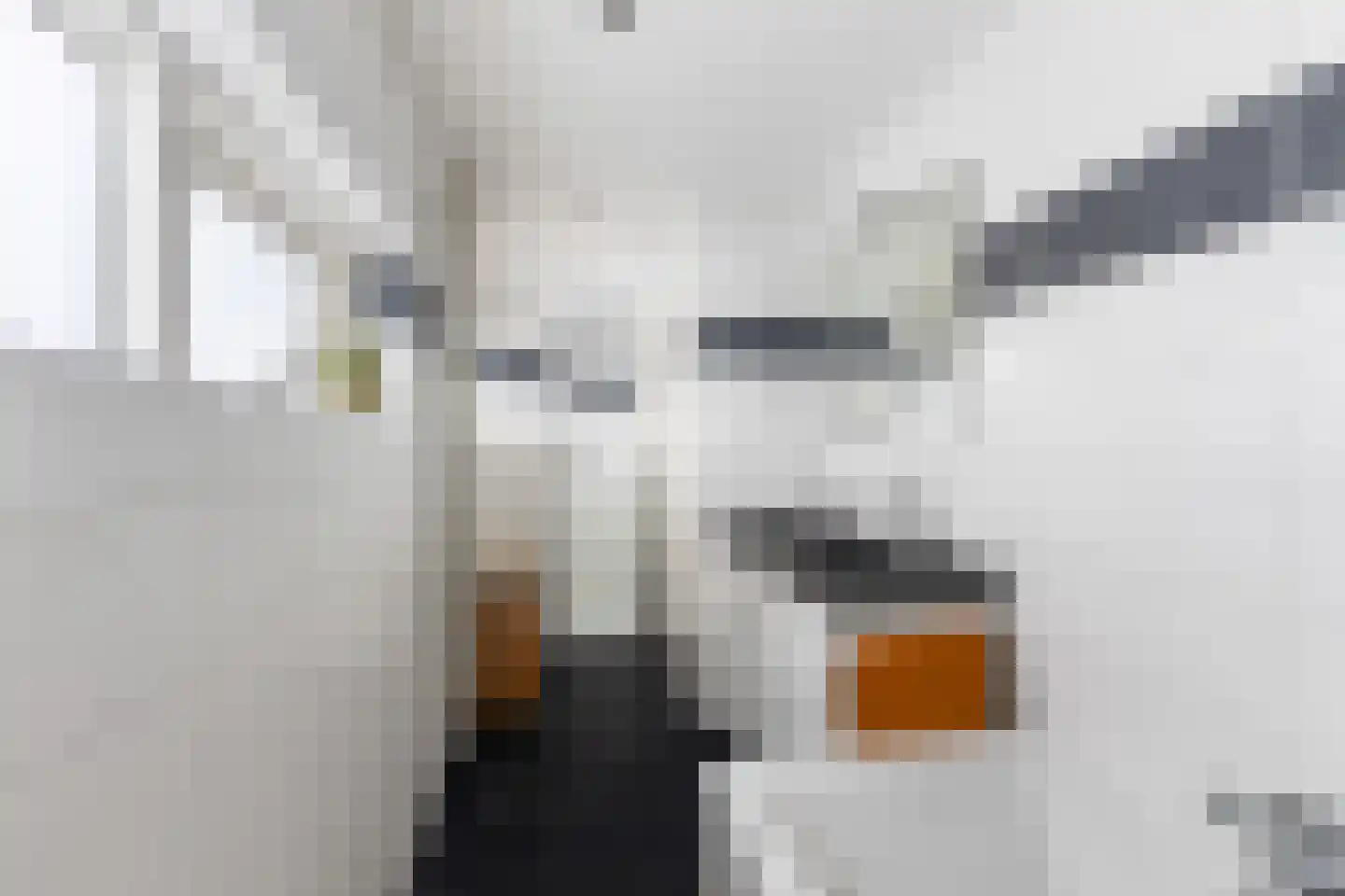 Adriaan Heijnisstraat 1 Nieuw-Lekkerland thumbnail 35