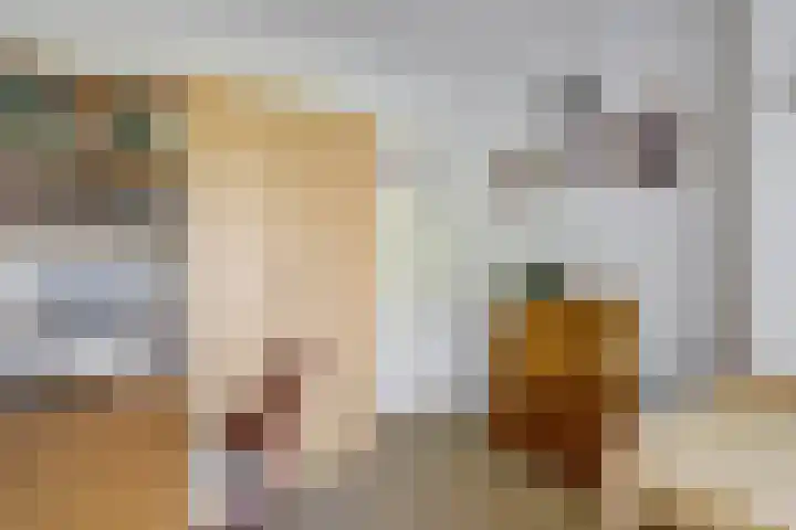 Adriaan Heijnisstraat 25 Nieuw-Lekkerland thumbnail 15