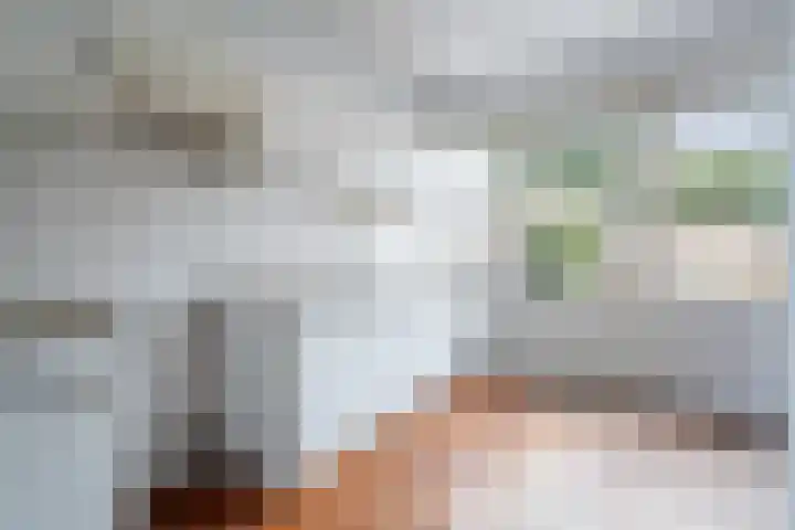 Adriaan Klaassenstraat 5 Breda thumbnail 8