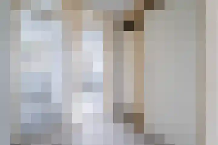 Adriaan Klaassenstraat 5 Breda thumbnail 9