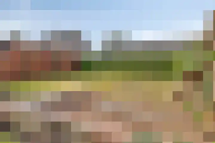 Adriaan Klaassenstraat 67 Breda thumbnail 31