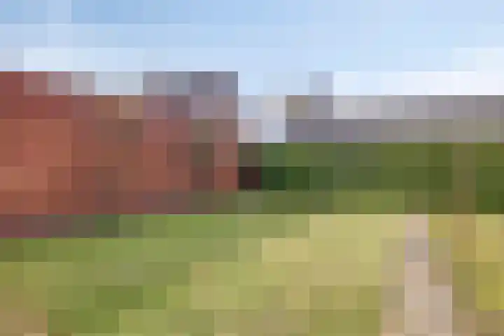 Adriaan Klaassenstraat 67 Breda thumbnail 37