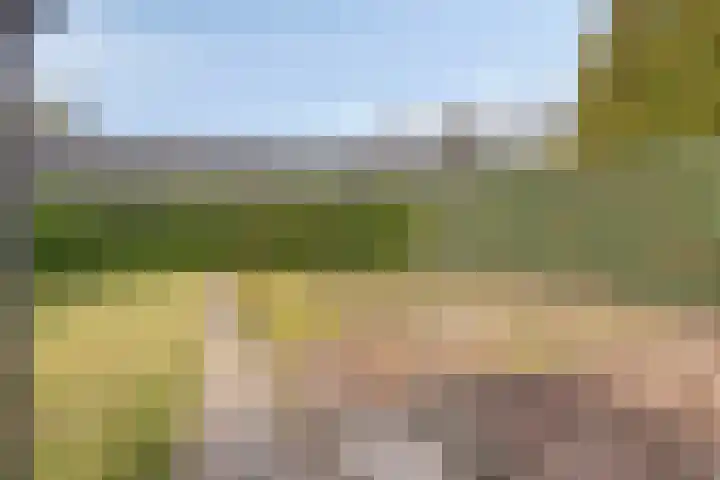 Adriaan Klaassenstraat 67 Breda thumbnail 38