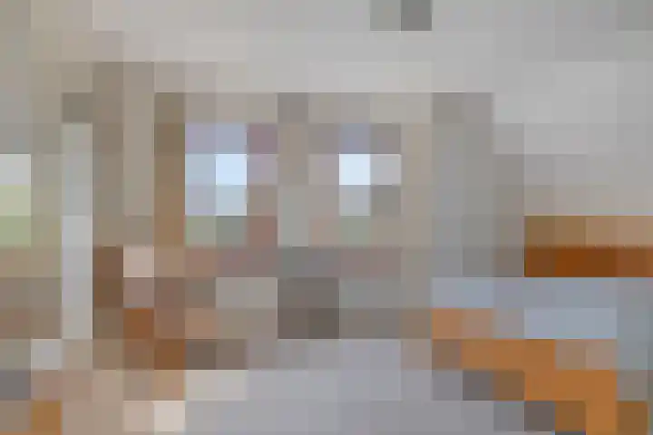 Adriaan Klaassenstraat 67 Breda thumbnail 4