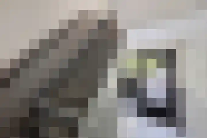Adriaan Kluitstraat 9 3 Amsterdam thumbnail 45