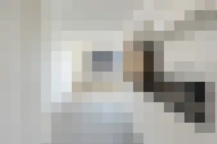 Adriaan Kooningsstraat 120 Rotterdam thumbnail 12
