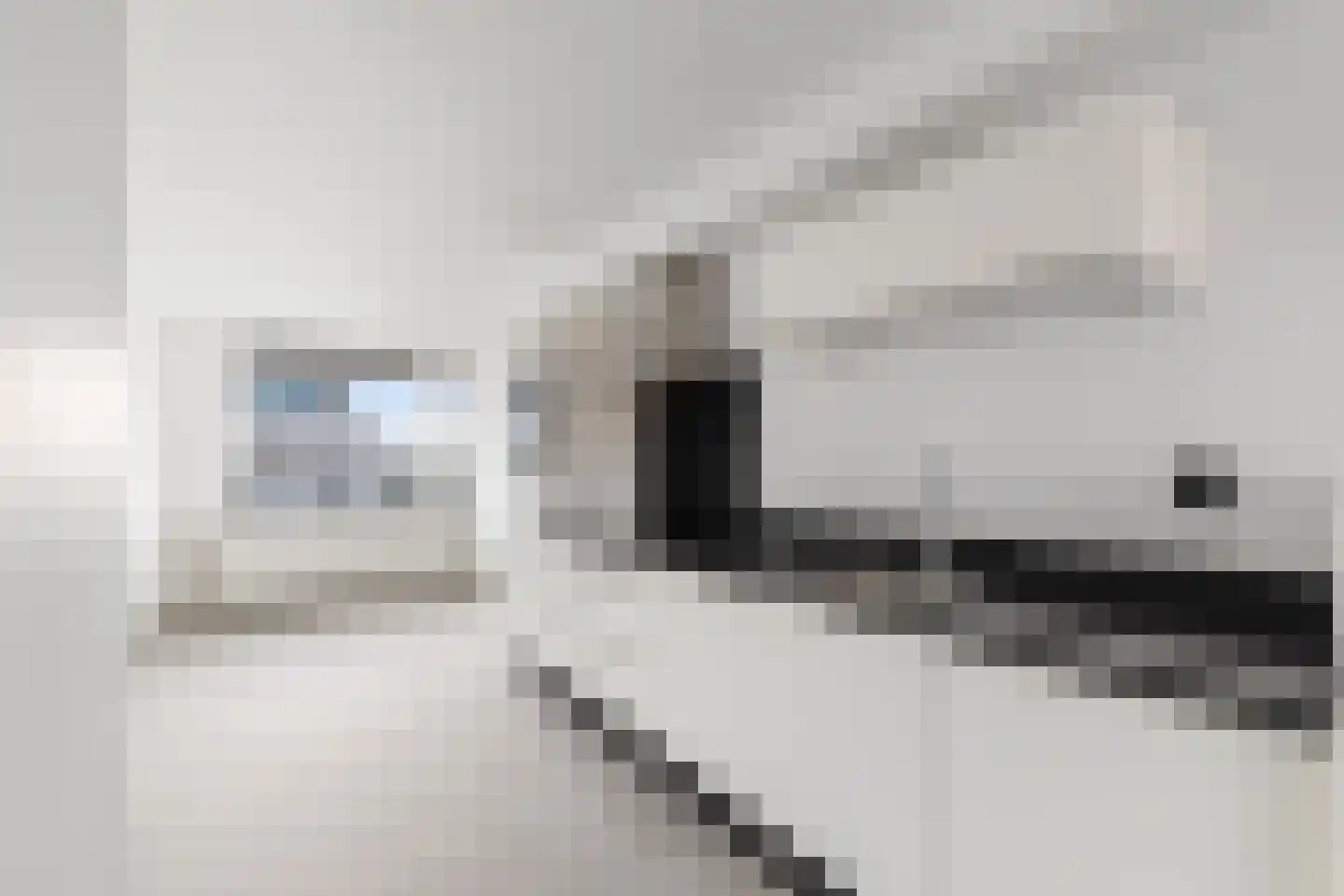 Adriaan Kooningsstraat 128 Rotterdam thumbnail 10