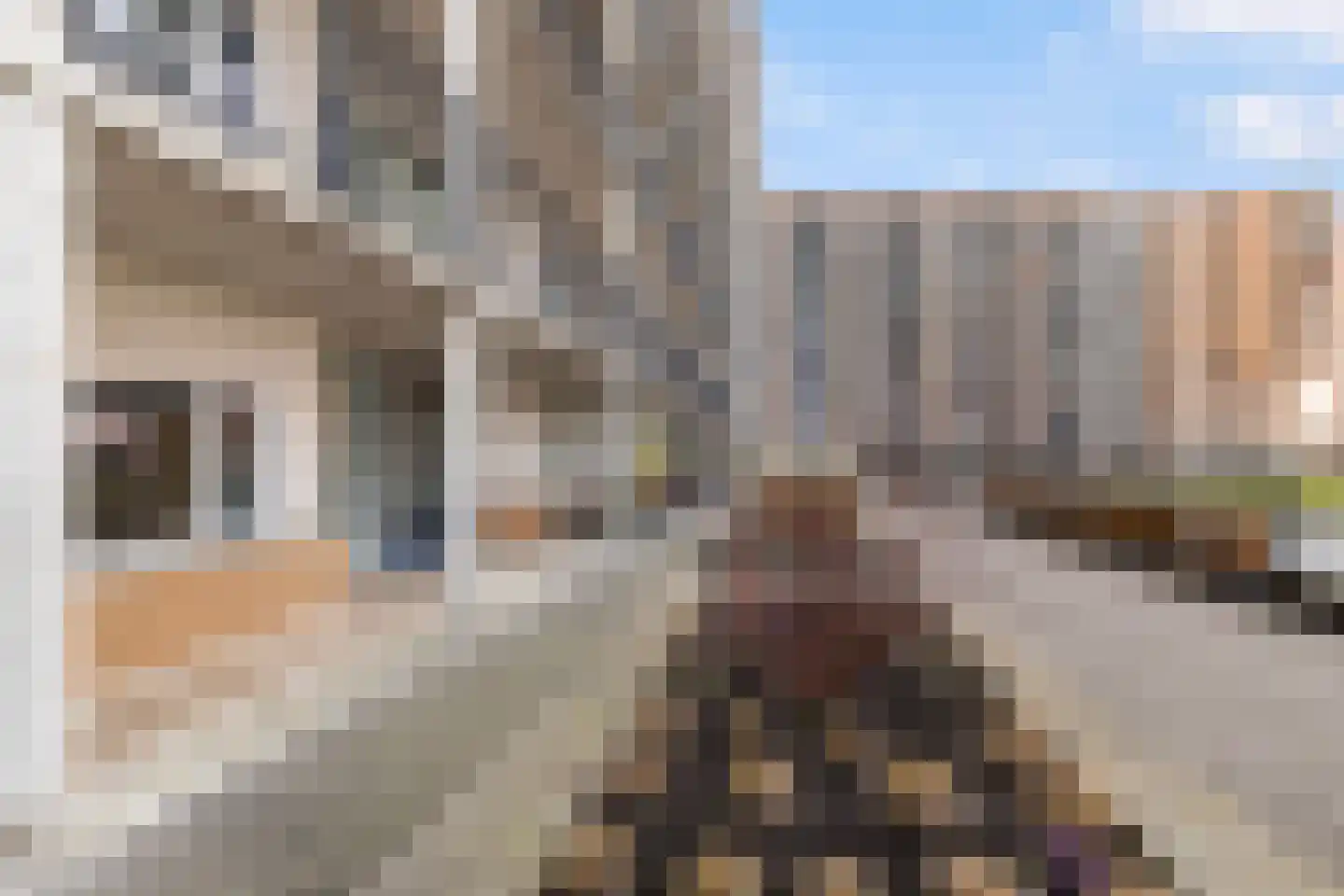 Adriaan Kooningsstraat 148 Rotterdam thumbnail 9