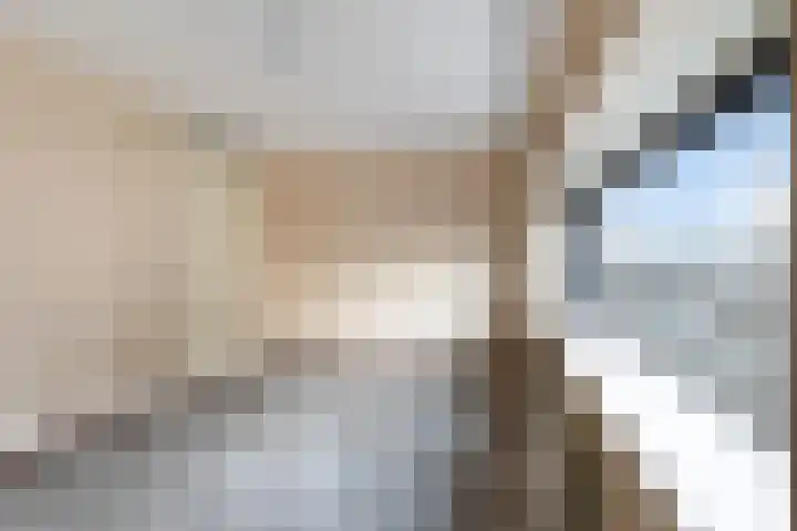 Adriaan Kooningsstraat 204 Rotterdam thumbnail 10