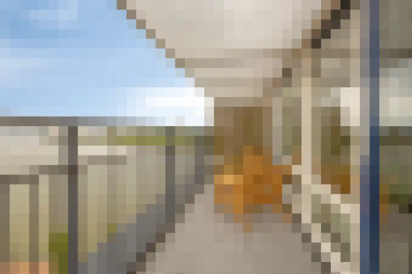 Adriaan Kooningsstraat 256 Rotterdam thumbnail 25